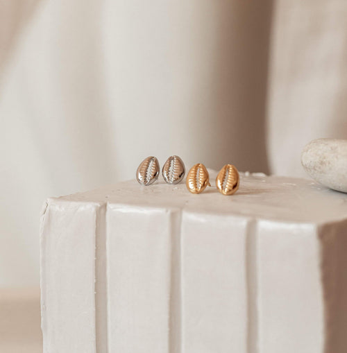 Cowry Shell Stud Earrings