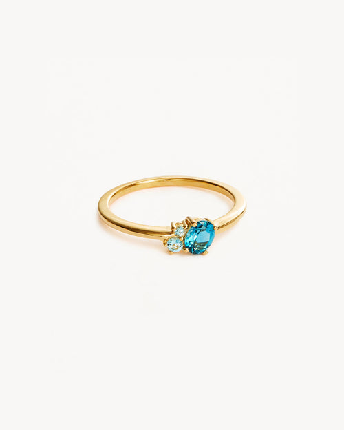 Yellow Gold Vermeil Kindred Birthstone Ring - December