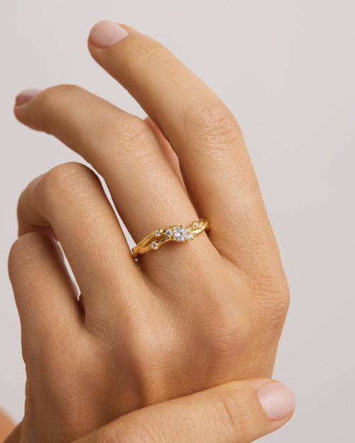Yellow Gold Vermeil No Rain, No Flowers Ring